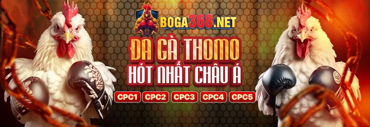 Tin tức mới nhất về w188 link mới